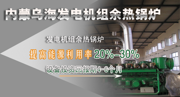 青島凱能鍋爐發(fā)電機組余熱鍋爐 青島凱能鍋爐發(fā)電機組余熱鍋爐