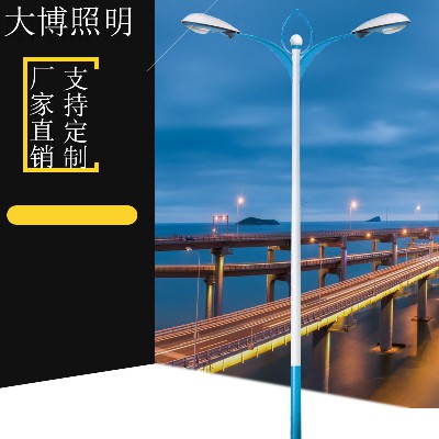 平行雙臂路燈戶外道路照明高速路亮化工程LED路燈廠家批發(fā)