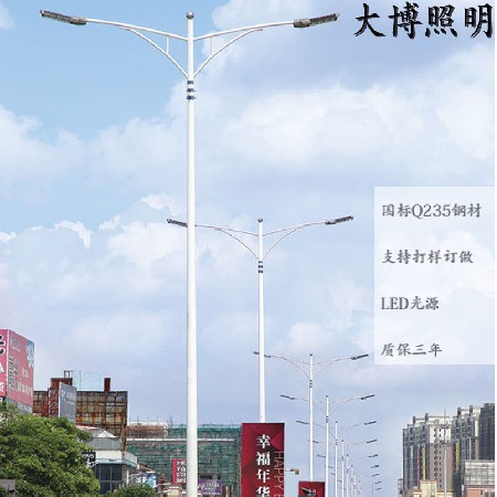 廠家批發LED路燈 熱鍍鋅路燈桿 6米8米10米12米市電雙臂路燈