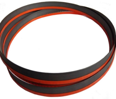 新血液，新力量——金鋒鋸業黨支部納新二人